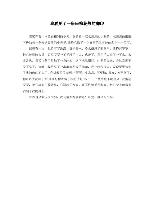 我看见了一串串梅花般的脚印作文精选