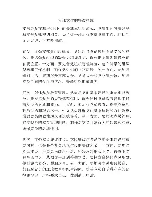 支部党建的整改措施