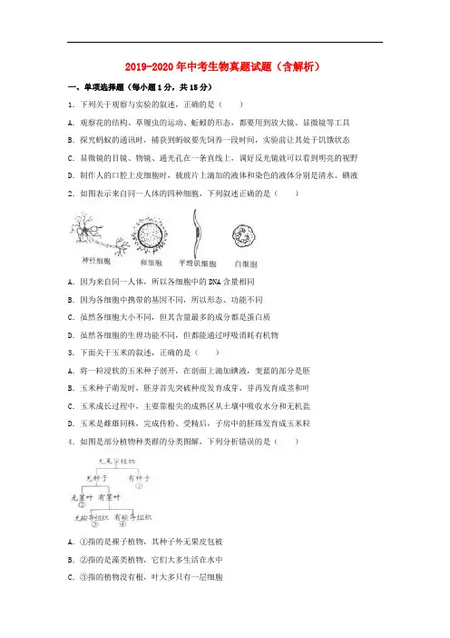 2019-2020年中考生物真题试题(含解析)