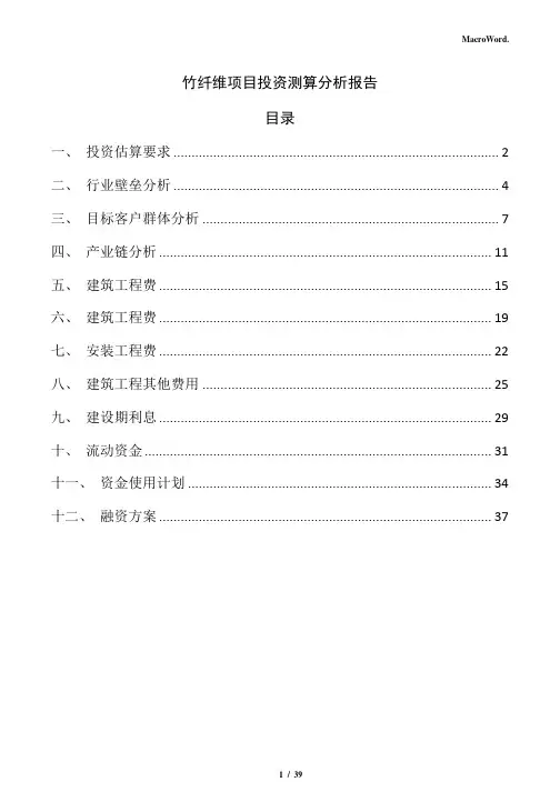 竹纤维项目投资测算分析报告(范文)