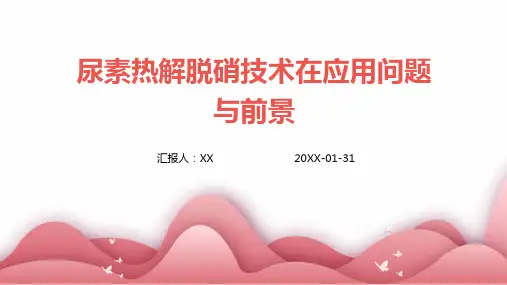 尿素热解脱硝技术在应用问题与前景