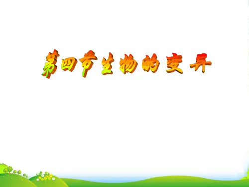 八年级生物上册 第四单元第四章 第四节生物的变异课件 济南版