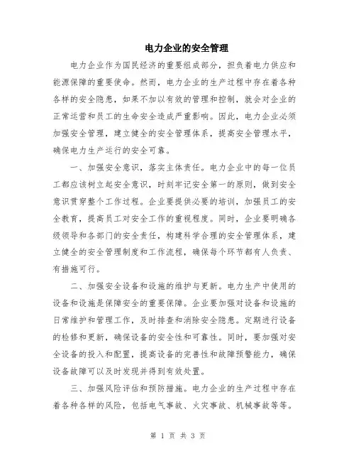 电力企业的安全管理