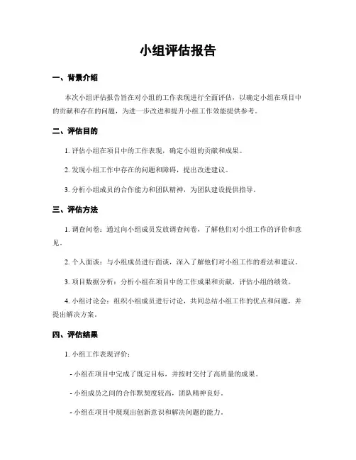 小组评估报告
