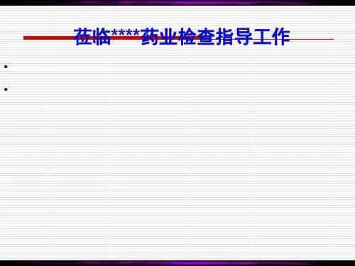 GMP认证现场汇报