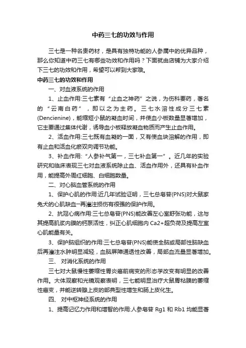 中药三七的功效与作用