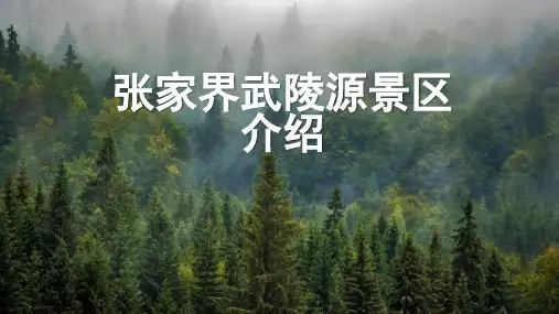 张家界武陵源景区介绍