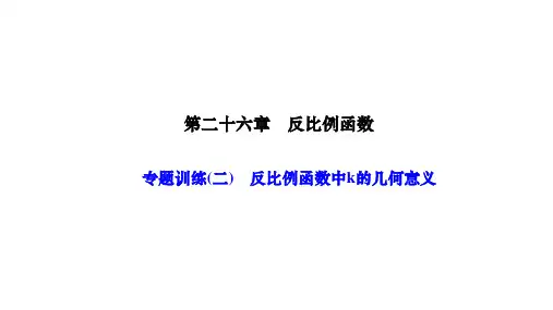人教版九年级数学下册作业课件 第二十六章 反比例函数 专题训练(二) 反比例函数中k的几何意义