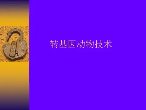 转基因动物技术
