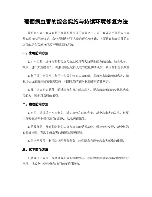 葡萄病虫害的综合实施与持续环境修复方法