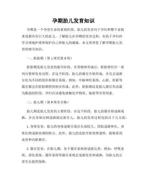 孕期胎儿发育知识