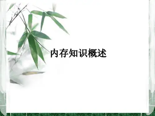 DDR知识概述