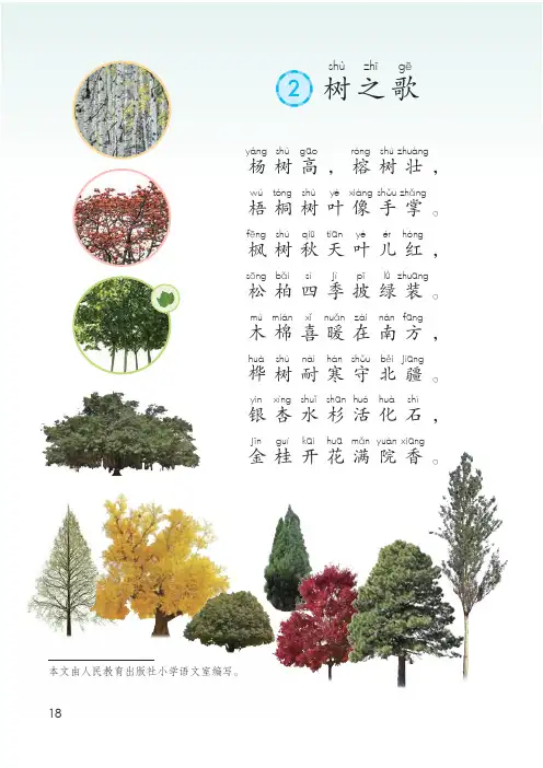 树之歌二年级语文上册