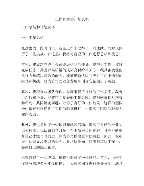 工作总结和计划表格