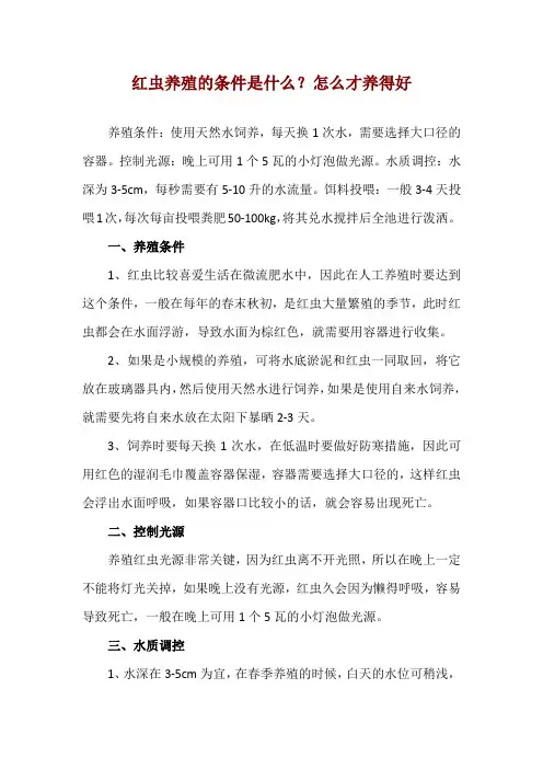 红虫养殖的条件是什么？怎么才养得好