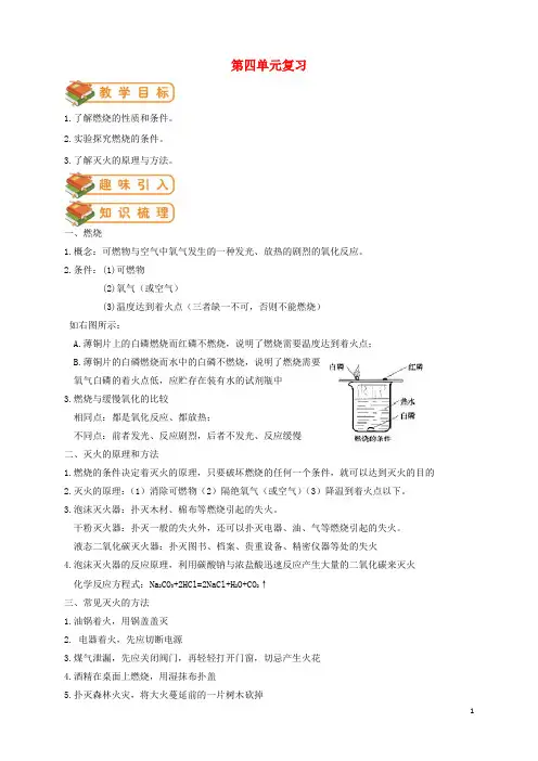 九年级化学全册 第4章 认识化学变化复习教案 (新版)沪教版