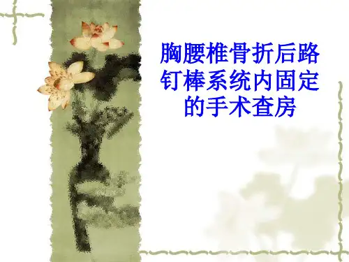 胸腰椎骨折后路钉棒系统内固定的手术查房PPT培训课件