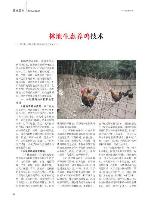 林地生态养鸡技术