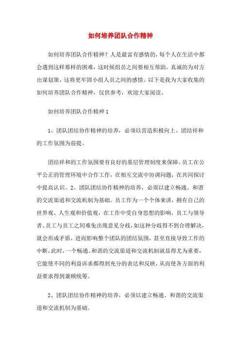 如何培养团队合作精神