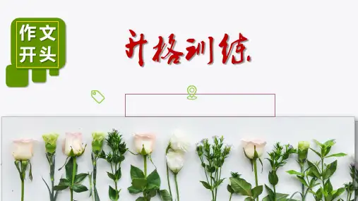 议论文作文开头升格训练