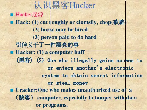 安全脆弱性分析