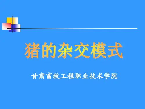 猪生产学-猪的杂交模式