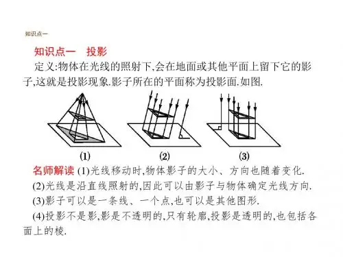 北师大版九年级数学上册教学课件：5.1投影 (共26张PPT)