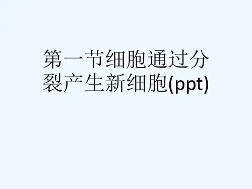 第一节细胞通过分裂产生新细胞(ppt)