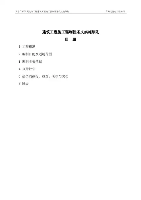 强条实施策划