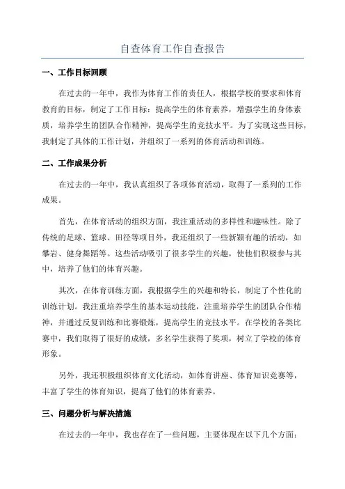 自查体育工作自查报告