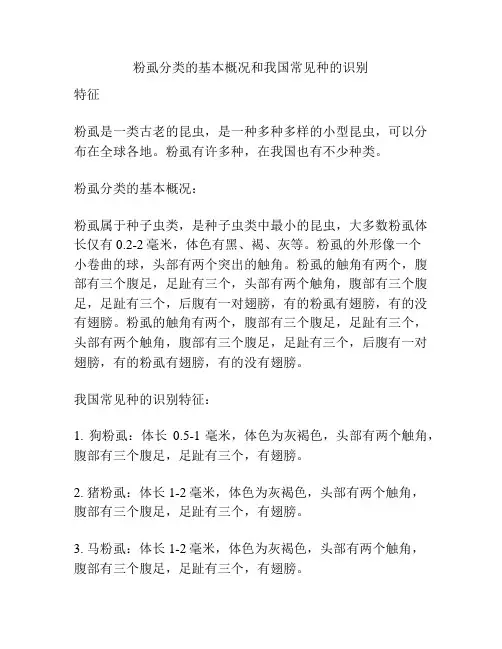 粉虱分类的基本概况和我国常见种的识别