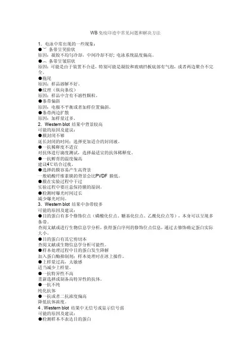 WB免疫印迹中常见问题和解决方法1电泳中常出现的一些现