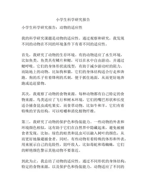小学生科学研究报告