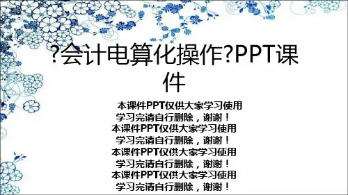 《会计电算化操作》PPT课件