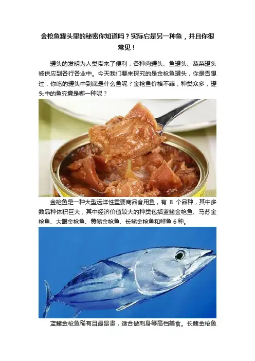 金枪鱼罐头里的秘密你知道吗？实际它是另一种鱼，并且你很常见！