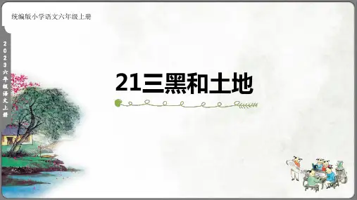 三黑和土地课件(完美版)(共28张PPT)