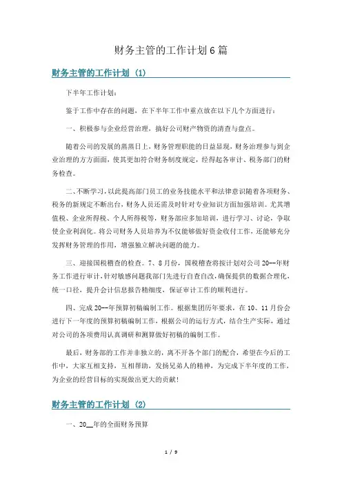 财务主管的工作计划6篇