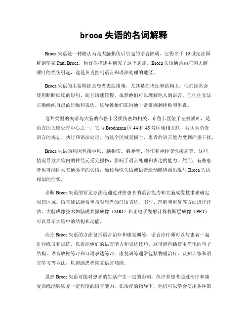 broca失语的名词解释