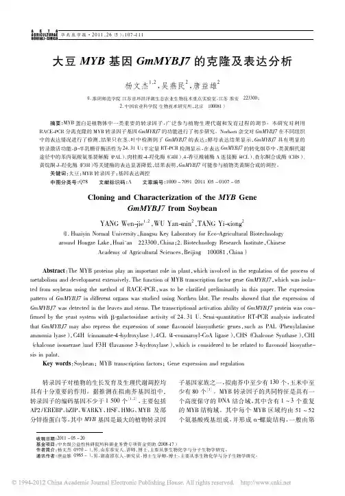 大豆MYB基因GmMYBJ7的克隆及表达分析