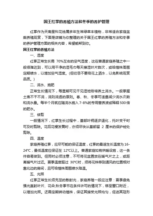 国王红掌的养殖方法和冬季的养护管理