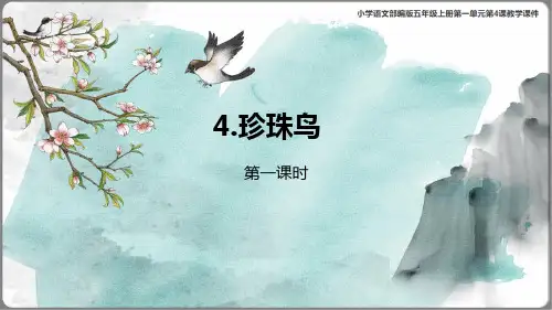 《珍珠鸟》教学课件(共49张PPT)