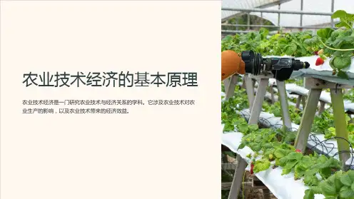 农业技术经济的基本原理