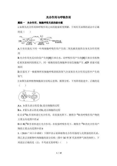 高考一轮复习同步训练《光合作用与呼吸作用》