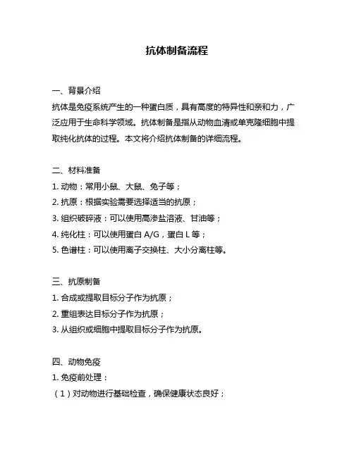 抗体制备流程