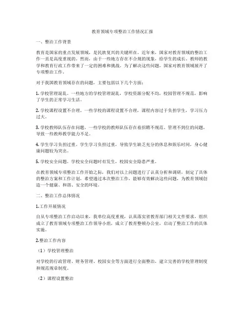 教育领域专项整治工作情况汇报