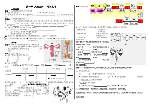 复习 第一章 人的由来