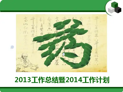 药剂科工作总结工作计划 PPT课件