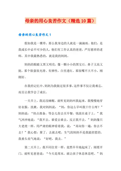 母亲的用心良苦作文(精选10篇)