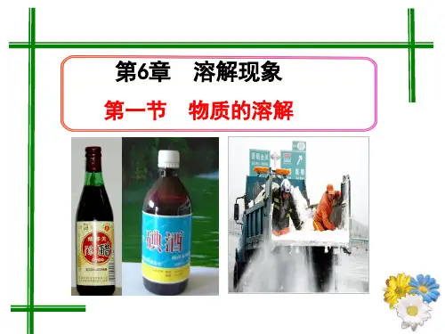 沪教版九年级化学第六章第一节物质的溶解【优质PPT】