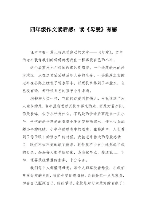四年级作文读后感：读《母爱》有感